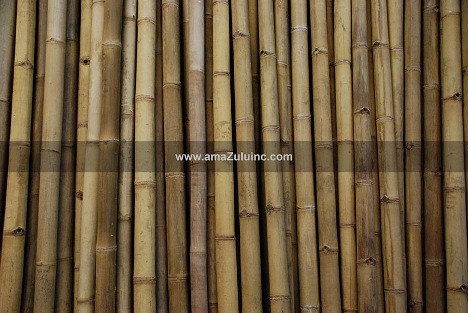 Bambu petung