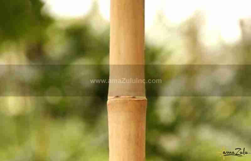 Solid bamboo poles