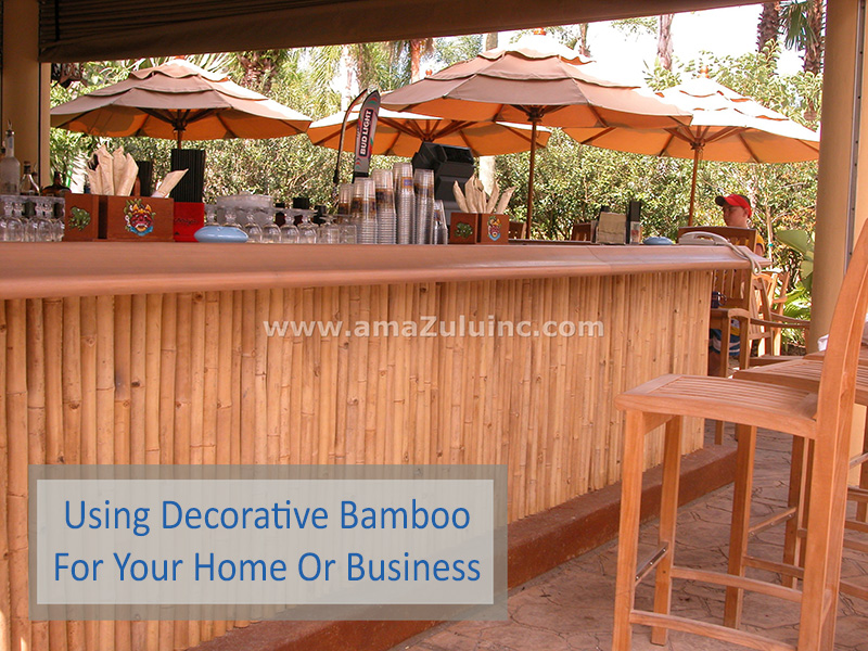 Decorative Bamboo