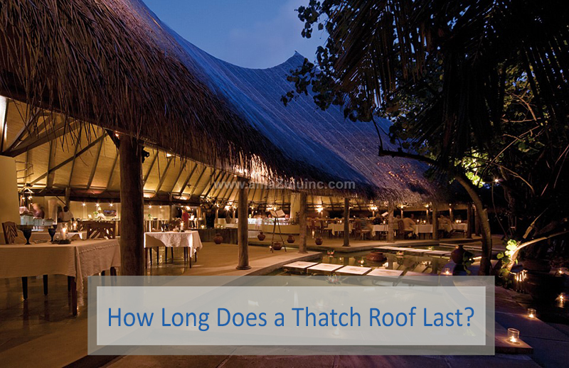 How Long Does a Thatch Roof Last? Natural and Synthetic