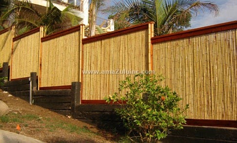 Image of Bamboo fence screening with a rustic look