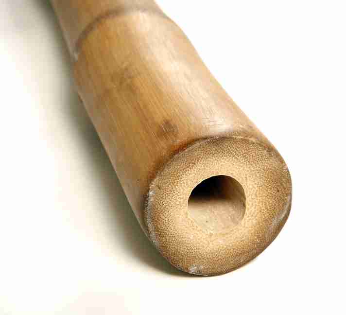 DIY Bamboo Projects