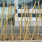 Synthetic Bamboo Poles - Black RingR