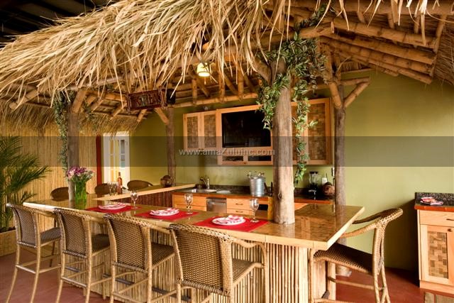 Ideas for Incorporating a Thatch Tiki Umbrella into Your ...