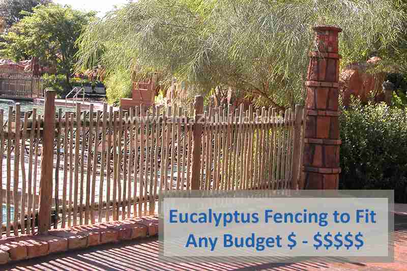 Eucalyptus Fencing