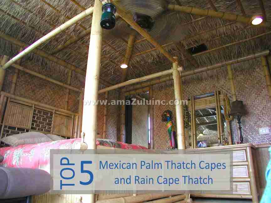 Mexican Palm Thatch