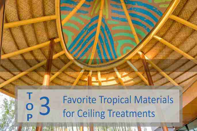 Ceiling Treatments