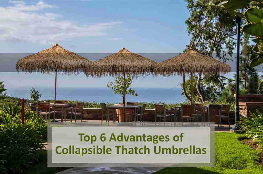Collapsible Thatch Umbrellas