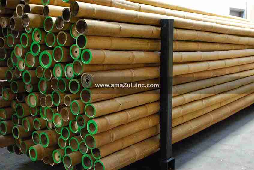 The Best Bamboo, Bamboo Poles for Sale