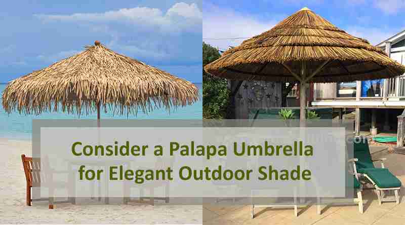 palapa umbrella comparison