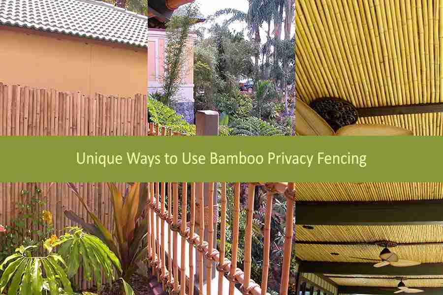 Rolled clearance bamboo fencing