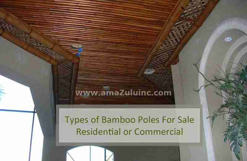 bamboo poles for sale
