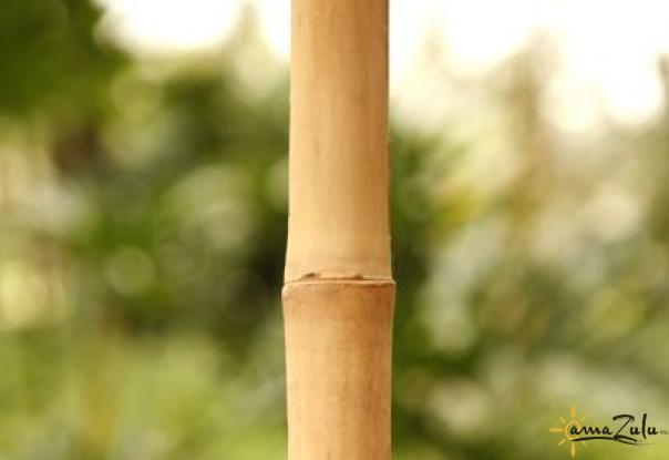 bamboo suppliers