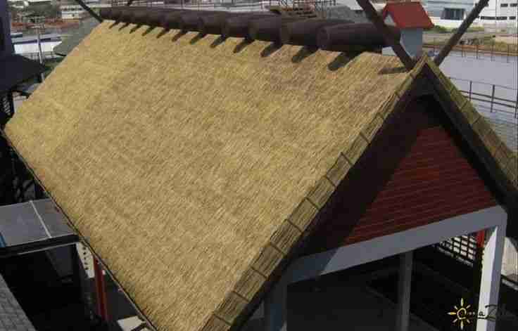 5 Popular FAQs About Thatch: Understanding the Differences ...