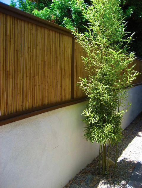 Bamboo Fence